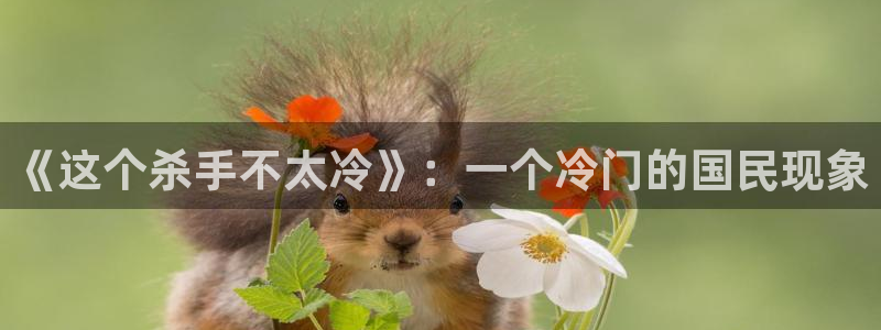 里番动漫火影忍者