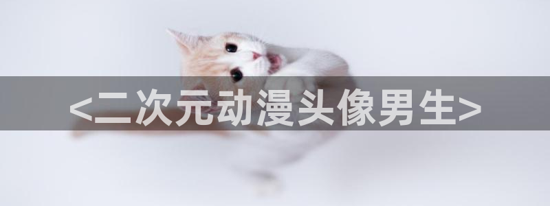 里番动漫在线免费