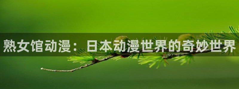 动漫里番去哪看