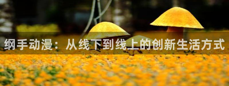 里番动漫排名
