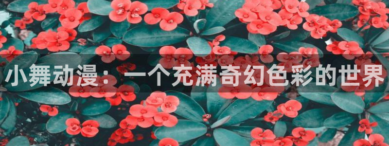 好看的里番动漫推荐：小舞动漫：一个充满奇幻色彩的世界