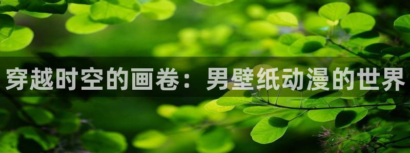 百合动漫里番：穿越时空的画卷：男壁纸动漫的世界