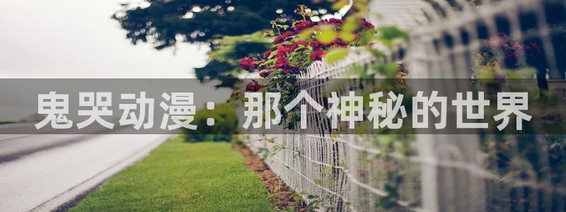 对魔忍里番漫画：鬼哭动漫：那个神秘的世界
