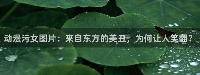 动漫里番合集：动漫污女图片：来自东方的美丑，为何让人笑翻？