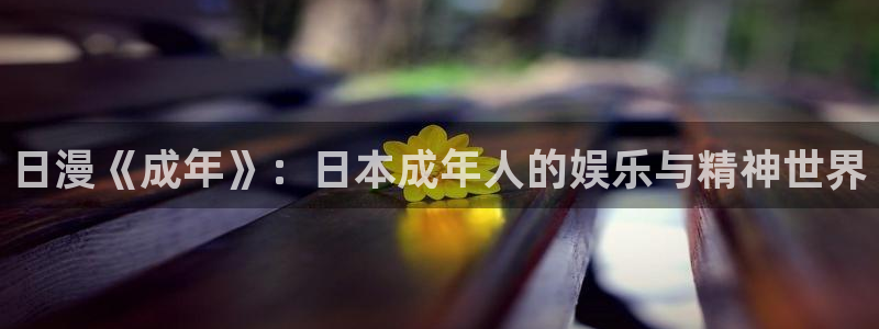 热播里番动漫：日漫《成年》：日本成年人的娱乐与精神世界