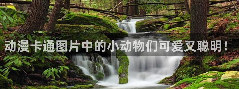 h里番动漫：动漫卡通图片中的小动物们可爱又聪明！