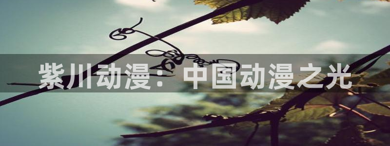 有哪些好看的里番动漫：紫川动漫：中国动漫之光