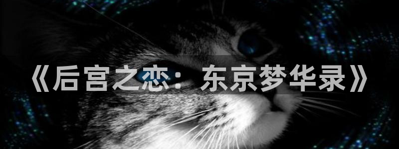 综漫里番小说：《后宫之恋：东京梦华录》