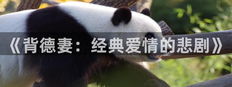 里番风车动漫：《背德妻：经典爱情的悲剧》