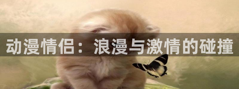 里番动漫更新：动漫情侣：浪漫与激情的碰撞