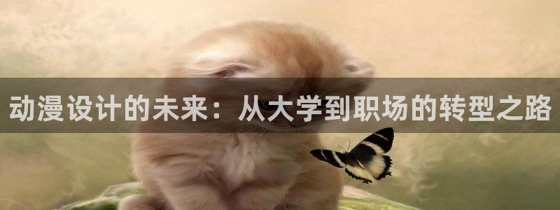 里番漫在线观看：动漫设计的未来：从大学到职场的转型之路