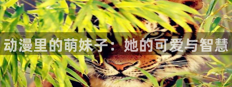 动漫里番有那些：动漫里的萌妹子：她的可爱与智慧