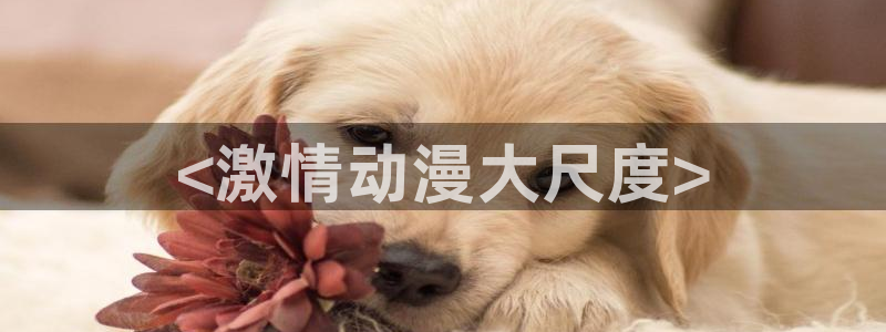日本旧里番动漫：<激情动漫大尺度>