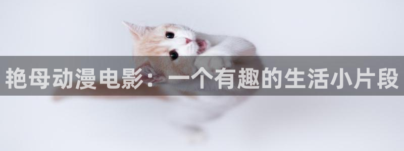 第一动漫里番：艳母动漫电影：一个有趣的生活小片段